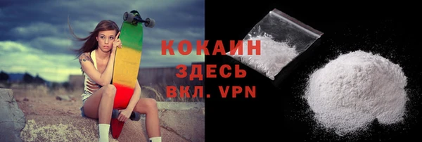 стаф Каменск-Шахтинский
