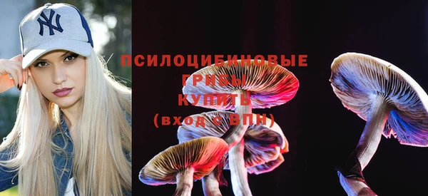 таблы Алзамай
